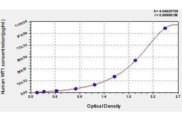 WT1 ELISA Kit