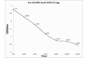 Antigen: 0. (VSV-g Tag antibody)