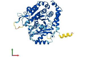 Protein Structure (PS) image for Tubulin, alpha 3e (TUBA3E) (AA 1-450) protein (His tag) (ABIN7544264)