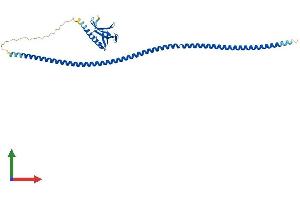 AlphaFold protein structure predicition of Mouse Recombinant Homer2 Protein, UniprotID Q9QWW1