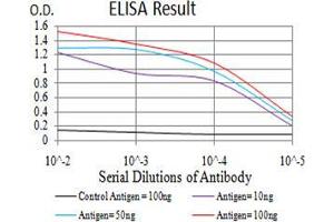 Black line: Control Antigen (100 ng);Purple line: Antigen (10ng); Blue line: Antigen (50 ng); Red line:Antigen (100 ng) (ESRRA antibody  (AA 198-376))