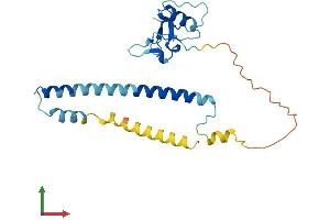 Protein Structure (PS) image for THAP Domain Containing, Apoptosis Associated Protein 2 (THAP2) (AA 1-228) protein (His tag) (ABIN7544343)