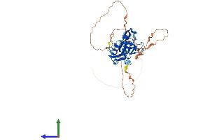 AlphaFold protein structure predicition of Mouse Recombinant Tbx10 Protein, UniprotID Q810F8 (T-Box 10 Protein (TBX10) (AA 1-385) (His tag))