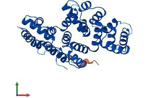 AlphaFold protein structure predicition of Mouse Recombinant Anxa8 Protein, UniprotID O35640
