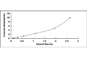 Typical standard curve (YAP1 ELISA Kit)