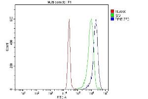 Flow Cytometry analysis of JK cells using anti-Cyclophilin E/PPIE antibody (ABIN7599243). (PPIE antibody  (AA 1-301))