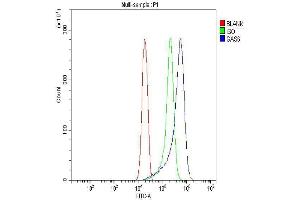 anti-Growth Arrest-Specific 6 (GAS6) (AA 488-660) antibody