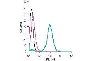 Cell surface detection of NPY1R in live intact human THP-1 monocytic leukemia cells: (black line) Cells. (NPY1R antibody  (Extracellular))