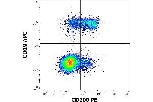 Flow cytometry multicolor surface staining of human lymphocytes stained using anti-human CD200 (OX-104) PE antibody (10 μL reagent / 100 μL of peripheral whole blood) and anti-human CD19 (LT19) APC antibody (10 μL reagent / 100 μL of peripheral whole blood). (CD200 antibody  (PE))