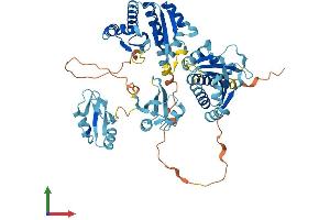 AlphaFold protein structure predicition of Human Recombinant IGF2BP3 Protein, UniprotID O00425