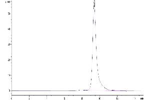 Size-exclusion chromatography-High Pressure Liquid Chromatography (SEC-HPLC) image for Leukocyte Immunoglobulin-Like Receptor, Subfamily B (With TM and ITIM Domains), Member 1 (LILRB1) (AA 24-221) protein (His tag) (ABIN7275164)