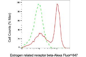 Flow cytometric analysis of Estrogen related receptor beta expression in Jurkat cells using Estrogen related receptor beta antibody (ABIN7798496), 1:2,000). (ESRRB antibody)