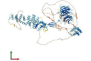 Protein Structure (PS) image for SEC31 Homolog B (SEC31B) (AA 1-1158) protein (His tag) (ABIN7563686)