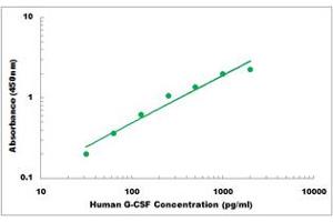 Representative Standard Curve (G-CSF ELISA Kit)