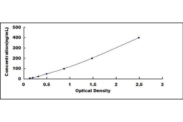 ORM1 ELISA Kit