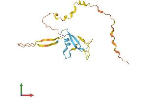 AlphaFold protein structure predicition of Mouse Recombinant Dazap2 Protein, UniprotID Q9DCP9