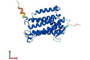AlphaFold protein structure predicition of Mouse Recombinant Acer1 Protein, UniprotID Q8R4X1 (ACER1 Protein (AA 1-273) (His tag))