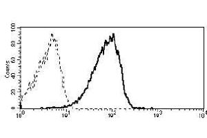 Flow cytometry analysis of CD19+ peripheral blood leukocytes using anti-CD361 antibody (MEM-216). (EVI2B antibody)