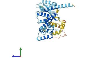 Protein Structure (PS) image for Modulator of Apoptosis 1 (MOAP1) (AA 1-351) protein (His tag) (ABIN7549421)