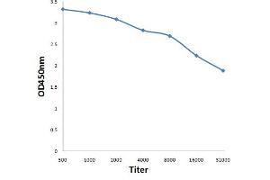 Antigen: 0. (SOX4 antibody  (AA 54-103))