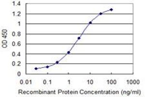 Detection limit for recombinant GST tagged FBLN2 is 0. (FBLN2 antibody  (AA 1076-1184))