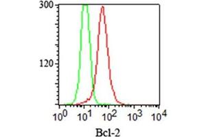 FACS staining (intracellular) of Jurkat cells using Bcl2 antibody cocktail (red) and isotype control (green). (Bcl-2 antibody  (AA 41-54))