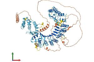 AlphaFold protein structure predicition of Human Recombinant LRRC41 Protein, UniprotID Q15345