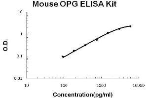 Mouse OPG PicoKine ELISA Kit standard curve (Osteoprotegerin ELISA Kit)