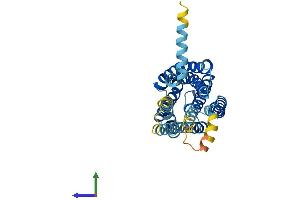 AlphaFold protein structure predicition of Human Recombinant GPR82 Protein, UniprotID Q96P67