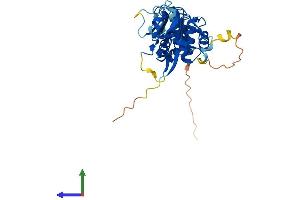 AlphaFold protein structure predicition of Mouse Recombinant Dusp12 Protein, UniprotID Q9D0T2 (DUSP12 Protein (AA 1-339) (His tag))