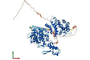AlphaFold protein structure predicition of Human Recombinant HECTD2 Protein, UniprotID Q5U5R9