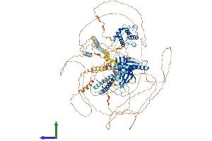 AlphaFold protein structure predicition of Mouse Recombinant Ehbp1 Protein, UniprotID Q69ZW3