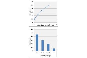 Biochemical Assay (BCA) image for Lipid Droplet Isolation Kit (ABIN5067556)