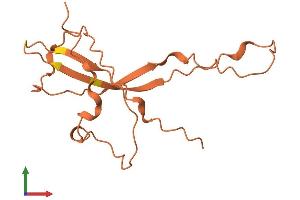 AlphaFold protein structure predicition of Human Recombinant LINC00315 Protein, UniprotID P59091 (C21orf93 Protein (AA 1-139) (His tag))