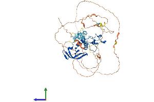 AlphaFold protein structure predicition of Human Recombinant CNOT2 Protein, UniprotID Q9NZN8 (CNOT2 Protein (AA 1-540) (His tag))