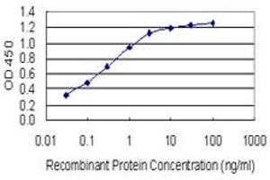 Detection limit for recombinant GST tagged HOXB6 is 0. (HOXB6 antibody  (AA 1-57))