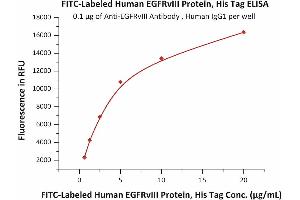 Immobilized AIII Antibody , Human IgG1 at 1 μg/mL (100 μL/well) can bind Fed Human EGFRvIII Protein, His Tag (ABIN6973043) with a linear range of 0.