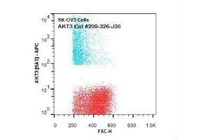 Flow Cytometry (FACS) image for anti-V-Akt Murine Thymoma Viral Oncogene Homolog 3 (Protein Kinase B, Gamma) (AKT3) (Internal Region) antibody (APC) (ABIN5596895)