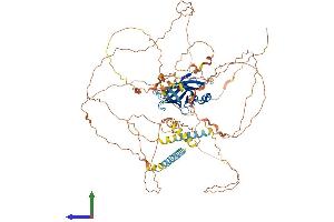 Protein Structure (PS) image for Protein Phosphatase 1, Regulatory Subunit 3F (PPP1R3F) (AA 1-799) protein (His tag) (ABIN7555052)
