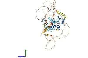 AlphaFold protein structure predicition of Human Recombinant ZNF446 Protein, UniprotID Q9NWS9