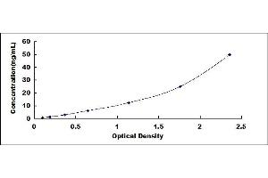 Typical standard curve (SERPINB2 ELISA Kit)