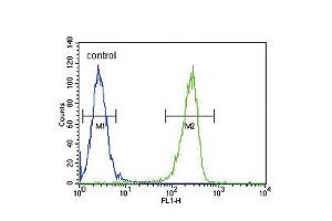 Flow cytometric analysis of A2058 cells (right histogram) compared to a negative control cell (left histogram). (KIR2DS2 antibody  (AA 39-65))