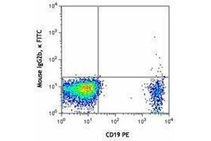 Flow Cytometry (FACS) image for anti-Chemokine (C-C Motif) Receptor 6 (CCR6) antibody (FITC) (ABIN2661554) (CCR6 antibody  (FITC))