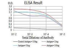 Black line: Control Antigen (100 ng),Purple line: Antigen (10 ng), Blue line: Antigen (50 ng), Red line:Antigen (100 ng) (BAG1 antibody  (AA 219-346))