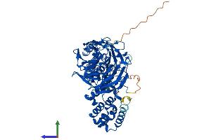 AlphaFold protein structure predicition of Mouse Recombinant Klhl10 Protein, UniprotID Q9D5V2 (KLHL10 Protein (AA 1-608) (His tag))