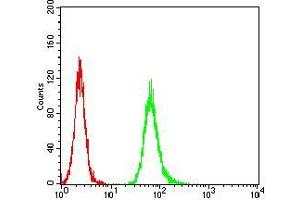 Flow cytometric analysis of Hela cells using ANAPC11 mouse mAb (green) and negative control (red).