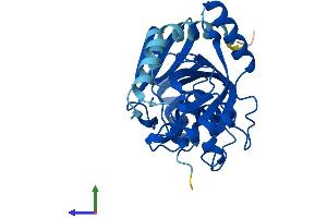 Protein Structure (PS) image for Purine Nucleoside Phosphorylase (PNP) (AA 1-289) protein (His tag) (ABIN7562979)