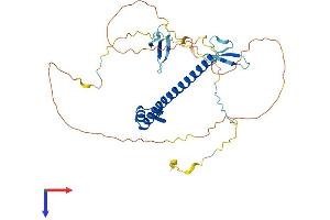 WBP4 Protein (AA 1-376) (His tag)