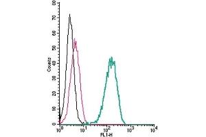 Cell surface detection of PLXNA1 by indirect flow cytometry in live intact human THP-1 monocytic leukemia cells: (black line) Cells. (Plexin A1 antibody  (Extracellular, N-Term))