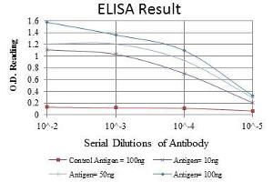 Red: Control Antigen (100 ng), Purple: Antigen (10 ng), Green: Antigen (50 ng), Blue: Antigen (100 ng), (PKN2 antibody)